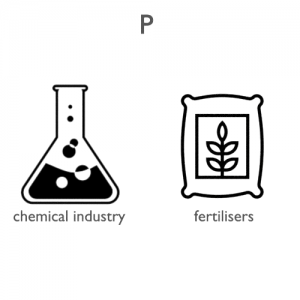 Phosphorus-applications
